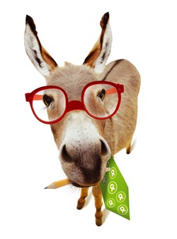 modelul-romanesc-de-business