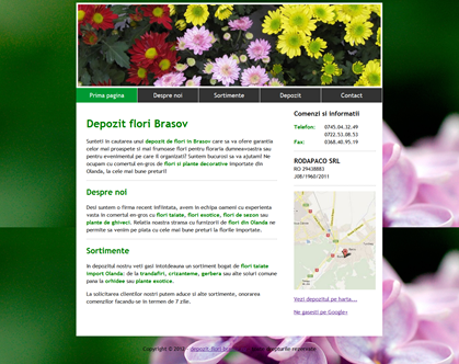 Depozit Flori Brasov